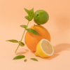 COMPAGNIE DE PROVENCE Exfoliant Exfoliating Liquid Marseille Soap 30 ml.