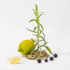COMPAGNIE DE PROVENCE The Blanc White Tea Liquid Marseille Soap 300 ml.