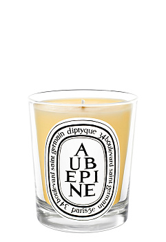diptyque Aubepine