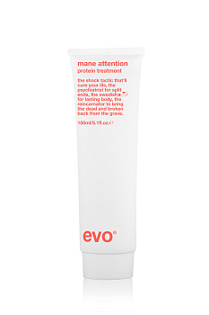 EVO Mane Attention Protein Treatment