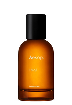 Aesop Hwyl