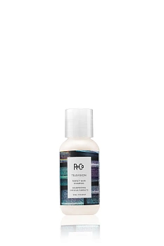R+Co TELEVISION Perfect Hair Shampoo (travel)