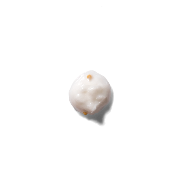 ERBORIAN Ginseng Infusion Total Eye Cream