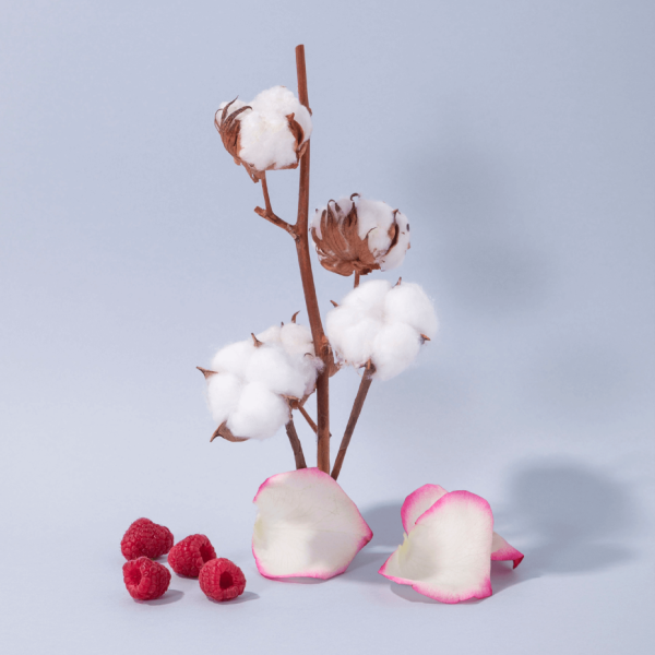 COMPAGNIE DE PROVENCE Fleur De Coton Cotton Flower Relaxing Shower Gel 500 ml.