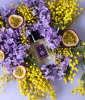 Une Nuit Nomade Love at First Sight 100 ml.